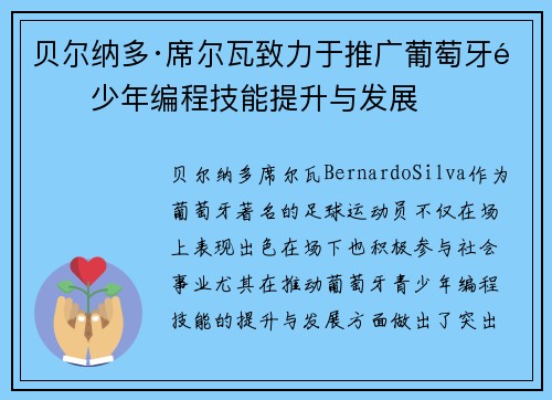 贝尔纳多·席尔瓦致力于推广葡萄牙青少年编程技能提升与发展